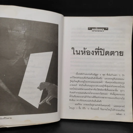 หุนหันพลันฆ่า - มนันยา รูปที่ 7