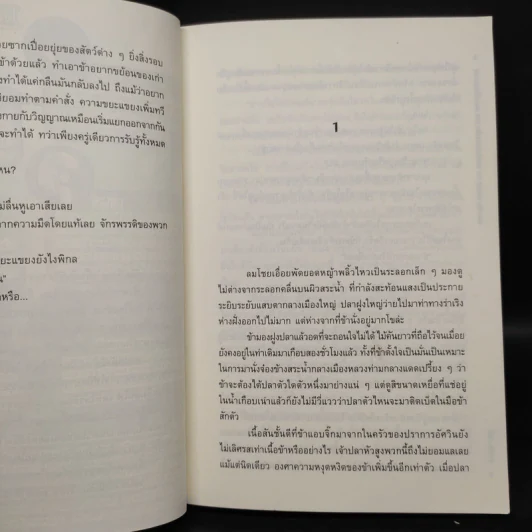 Sanctity Knight พันธุ์อัศวินป่วนโลก S ภาคสะพานเชื่อมสามภพ - Finch (ฟินช์) รูปที่ 6
