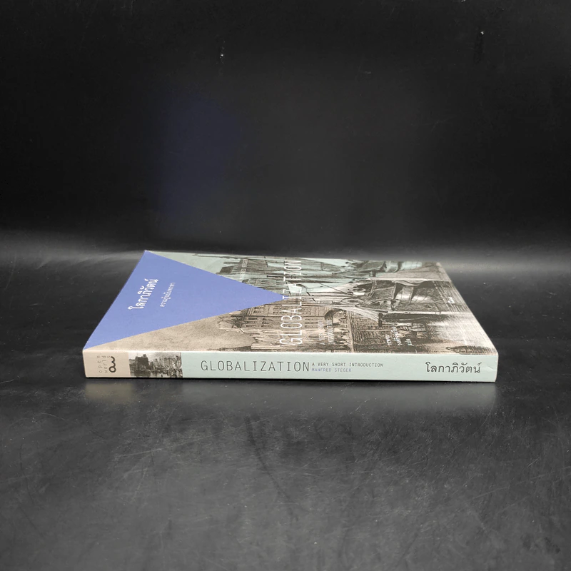 โลกาภิวัตน์ : ความรู้ฉบับพกพา - Manfred Steger (แมนเฟร็ด สเตเกอร์) รูปที่ 3