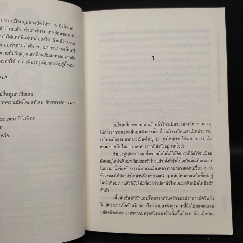 Sanctity Knight พันธุ์อัศวินป่วนโลก S ภาคสะพานเชื่อมสามภพ - Finch (ฟินช์) รูปที่ 6
