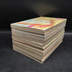 เกลียดชะมัดตาคนเนี๊ย 10 เล่มจบ รูปที่ 3