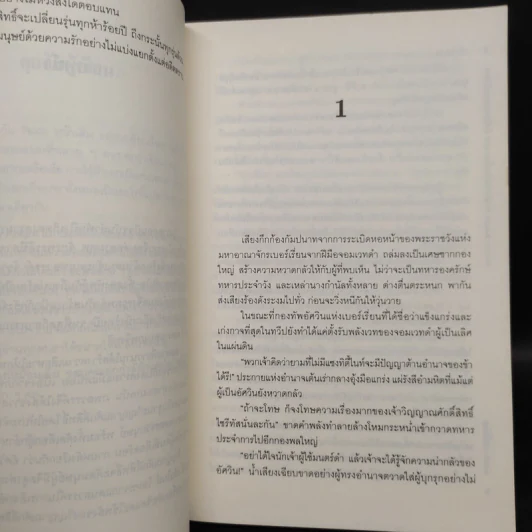 Sanctity Knight พันธุ์อัศวินป่วนโลก 2 เล่มจบ - Finch รูปที่ 6