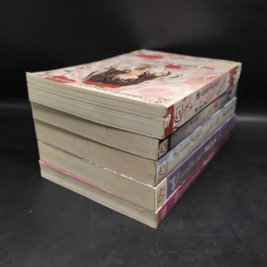 My Love Perfect Match ขายรวม 5 เล่ม - My Lady Ping รูปที่ 4