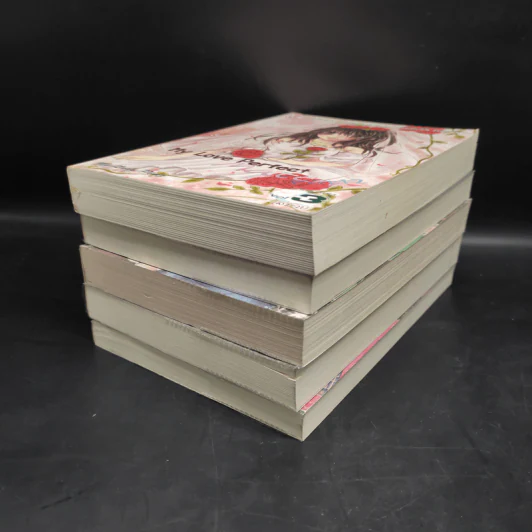 My Love Perfect Match ขายรวม 5 เล่ม - My Lady Ping รูปที่ 3