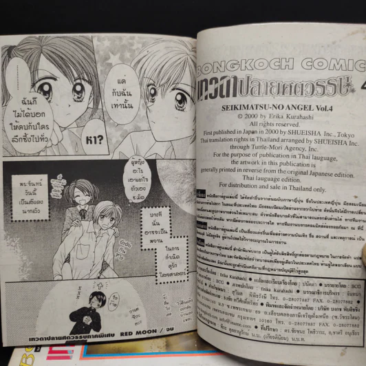 เทวดาปลายศตวรรษ 4 เล่มจบ รูปที่ 8