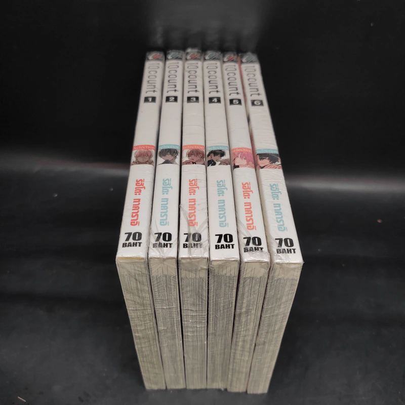 การ์ตูนวาย 10 COUNT 6 เล่มจบ รูปที่ 5