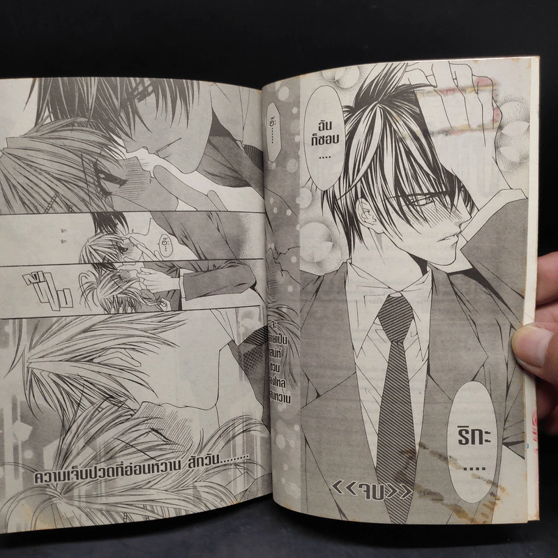 มาเฟียที่รัก 9 เล่มจบ - Shinjo Mayu รูปที่ 7