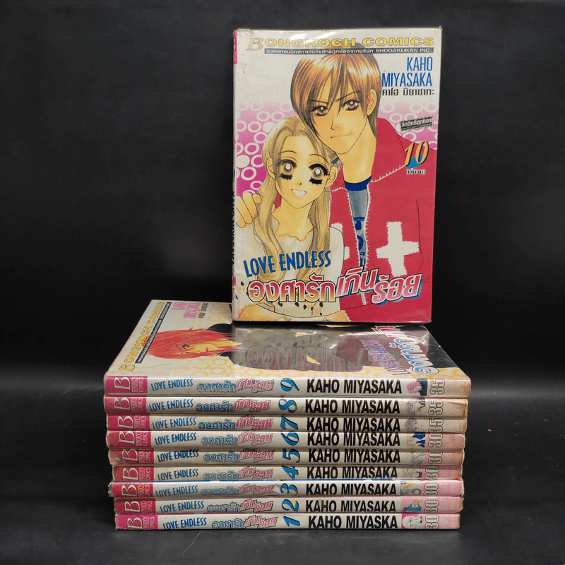 Love Endless องศารักเกินร้อย 10 เล่มจบ รูปที่ 1
