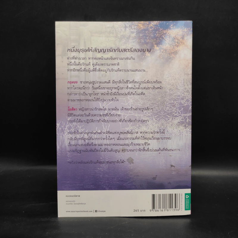 บ่วงอธิฏฐาน - ทักษิณา รูปที่ 2