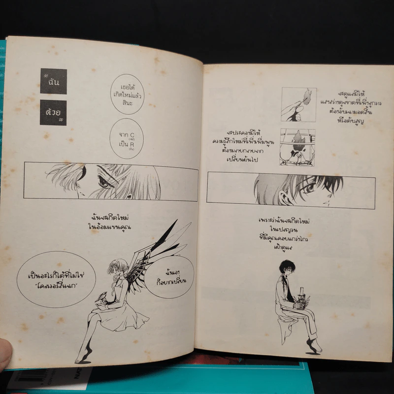 Clover 2 เล่มจบ - Clamp รูปที่ 9