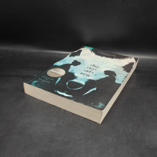 เงียบเหงาเศร้าทราม Tell the Wolves I'm Home - แครอล ริฟค่า บรันท์ รูปที่ 4
