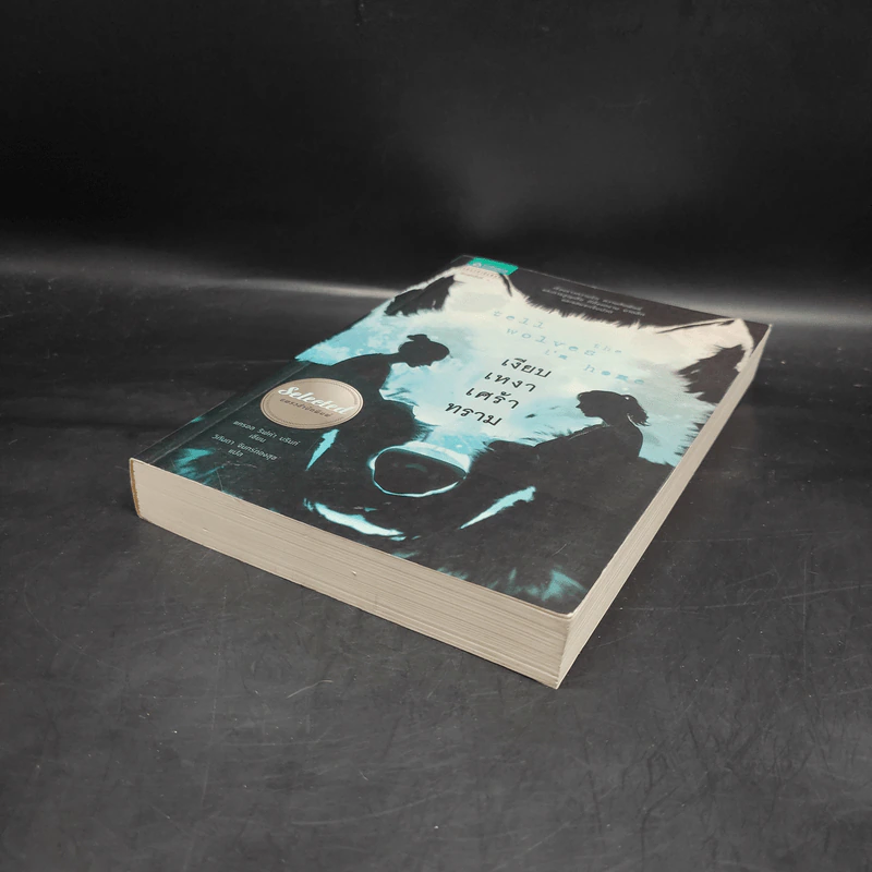 เงียบเหงาเศร้าทราม Tell the Wolves I'm Home - แครอล ริฟค่า บรันท์ รูปที่ 4