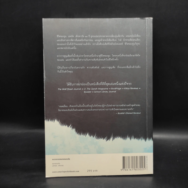 เงียบเหงาเศร้าทราม Tell the Wolves I'm Home - แครอล ริฟค่า บรันท์ รูปที่ 2