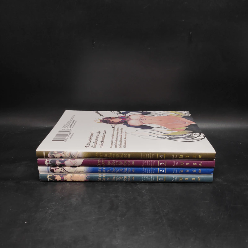 ปีศาจพี่สาวกับเรื่องราวฤดูร้อนของผม เล่ม 1-4 รูปที่ 2