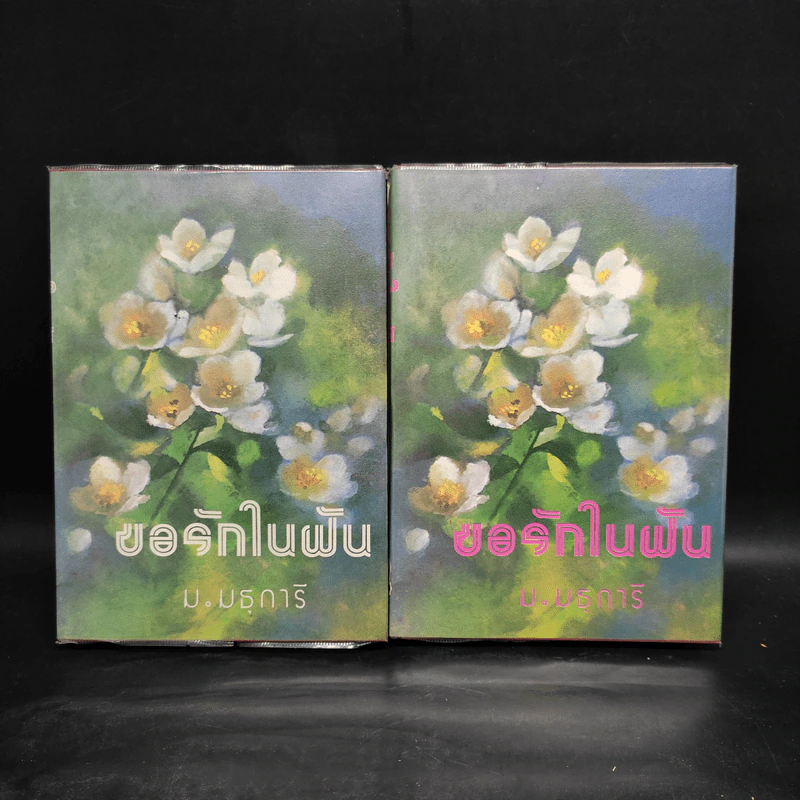 ขอรักในฝัน 2 เล่มจบ - ม.มธุการี รูปที่ 1