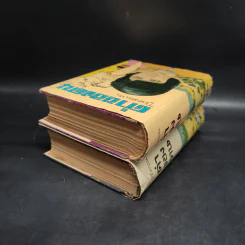 ค่าของคน 2 เล่มจบ - โรสลาเรน รูปที่ 5