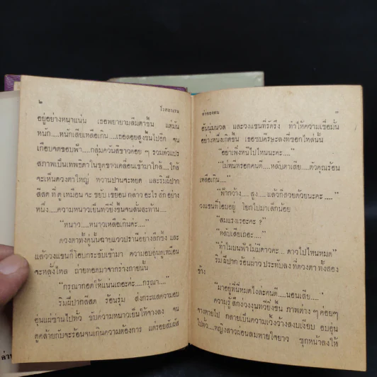 ค่าของคน 2 เล่มจบ - โรสลาเรน รูปที่ 7