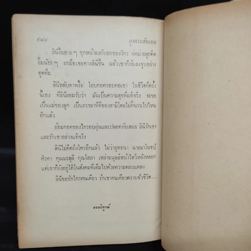 ยูงกระะสันเมฆ 2 เล่มจบ - รุ่งจิตร์ รูปที่ 7