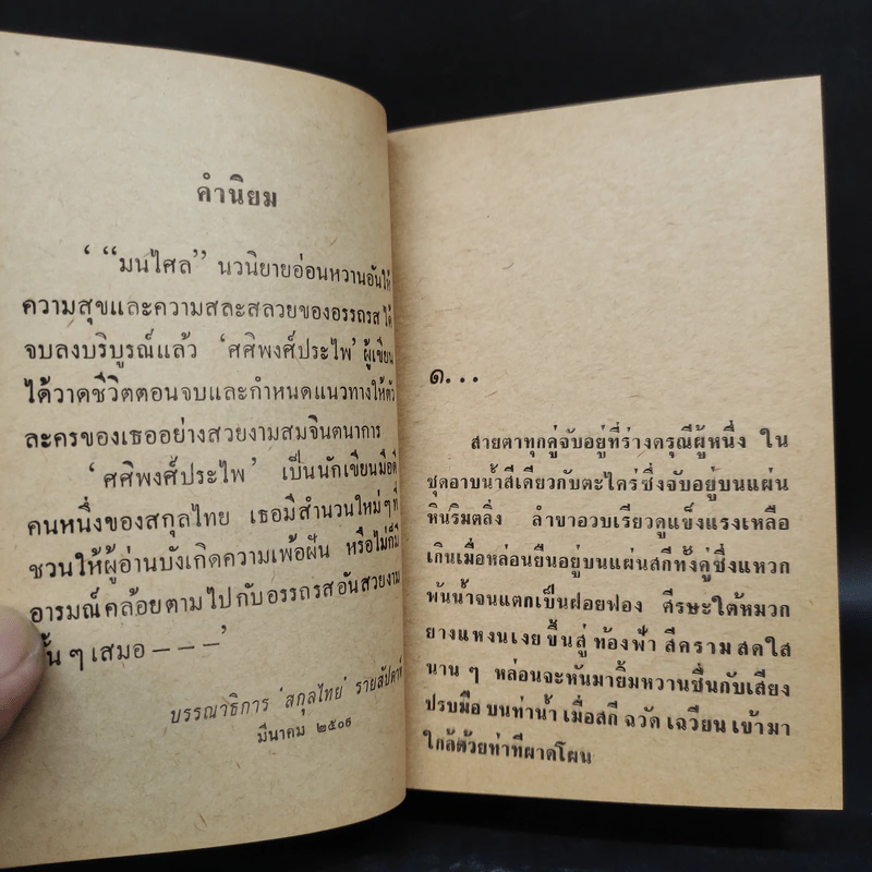 มนไศล 2 เล่มจบ - ศศิพงศ์ประไพ รูปที่ 5
