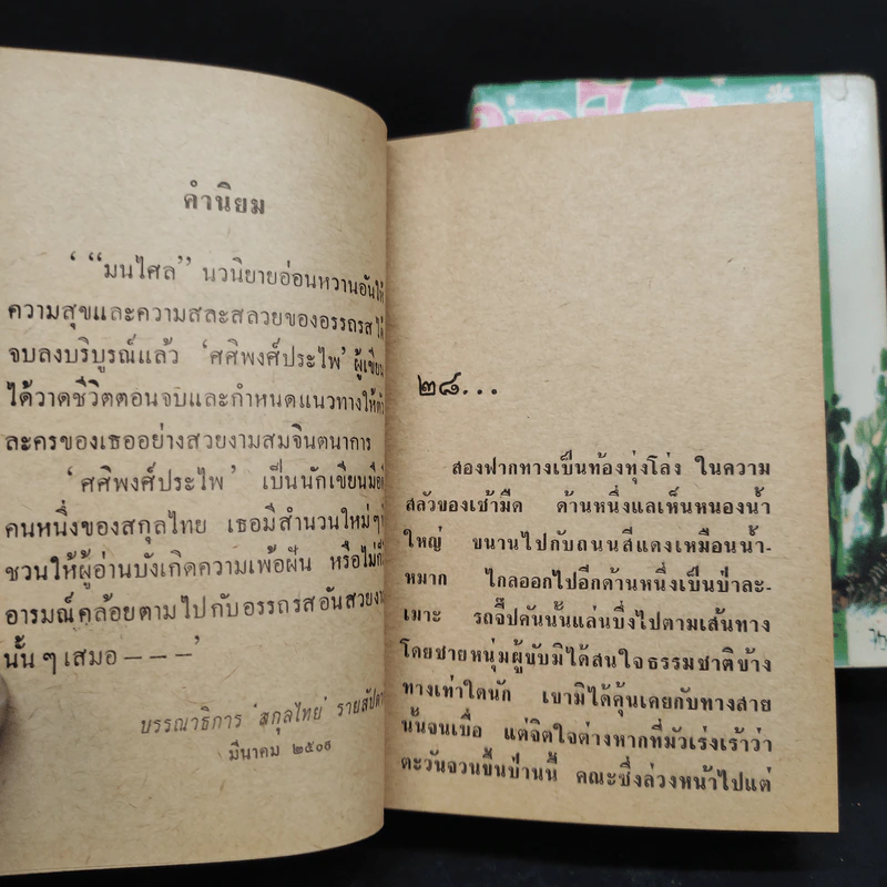 มนไศล 2 เล่มจบ - ศศิพงศ์ประไพ รูปที่ 6