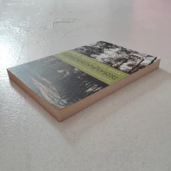 เมื่อทุกอย่างพังทลายหนทางฝึกใจในช่วงเวลา - เพม่า โชดรัน รูปที่ 3