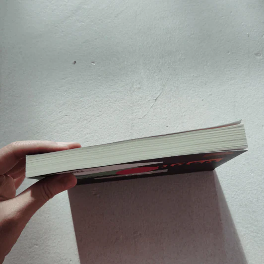 THE CATCHER IN THE RYE จะเป็นผู้คอยรับไว้ไม่ให้ใครร่วงหล่น - เจ.ดี.ซาลินเจอร์ รูปที่ 3