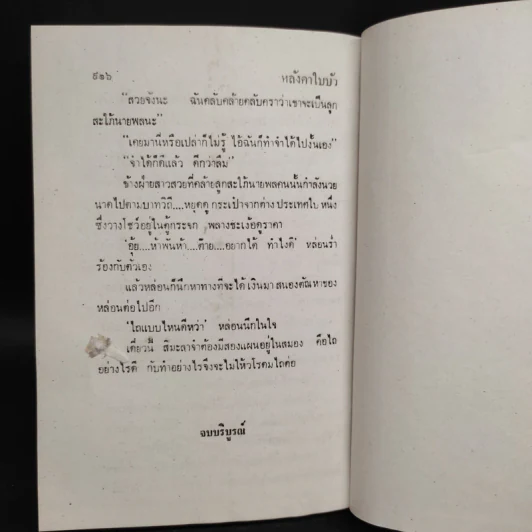 หลังคาใบบัว 2 เล่มจบ - กัญญ์ชลา รูปที่ 8