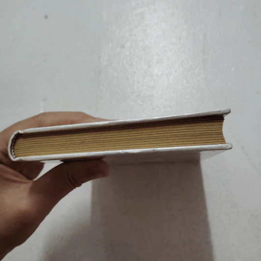 วิชาสุดท้ายที่มหาวิทยาลัยไม่ได้สอน เล่ม 1 (ปกแข็ง) - สฤณี อาชวานันทกุล รูปที่ 4