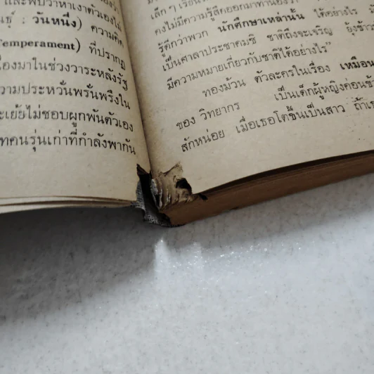 ฉันจึงมาหาความหมาย - วิทยากร เชียงกูล รูปที่ 9