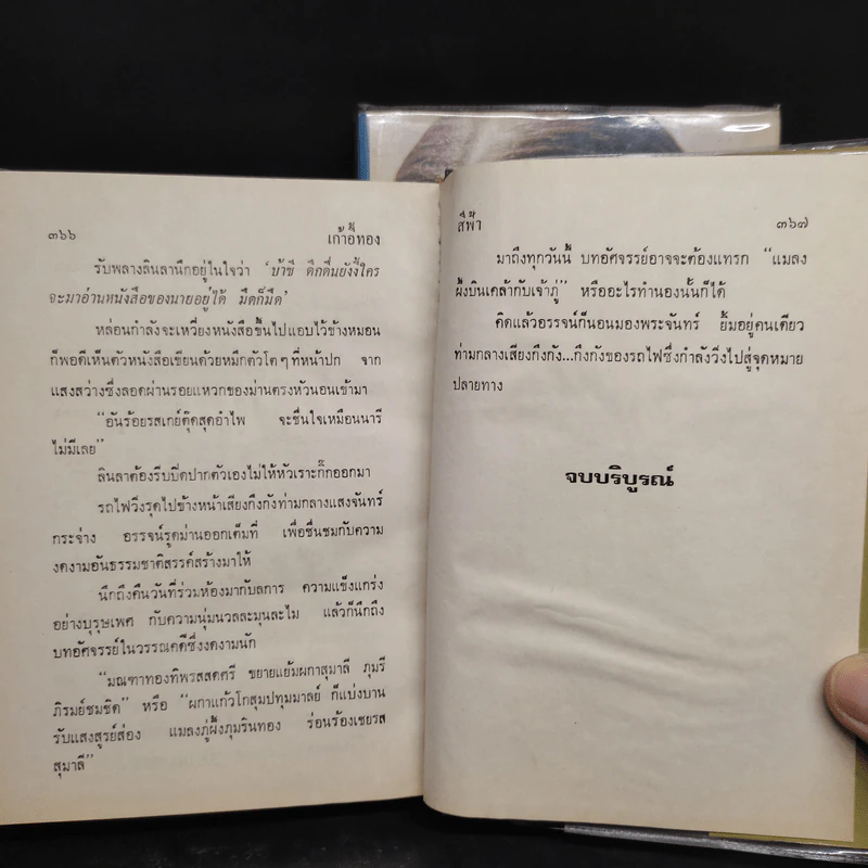 เก้าอี้ทอง 2 เล่มจบ - สีฟ้า รูปที่ 8