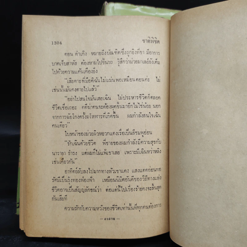 ชาติพิชิต 2 เล่มจบ - พิชญพิทักษ์ รูปที่ 8