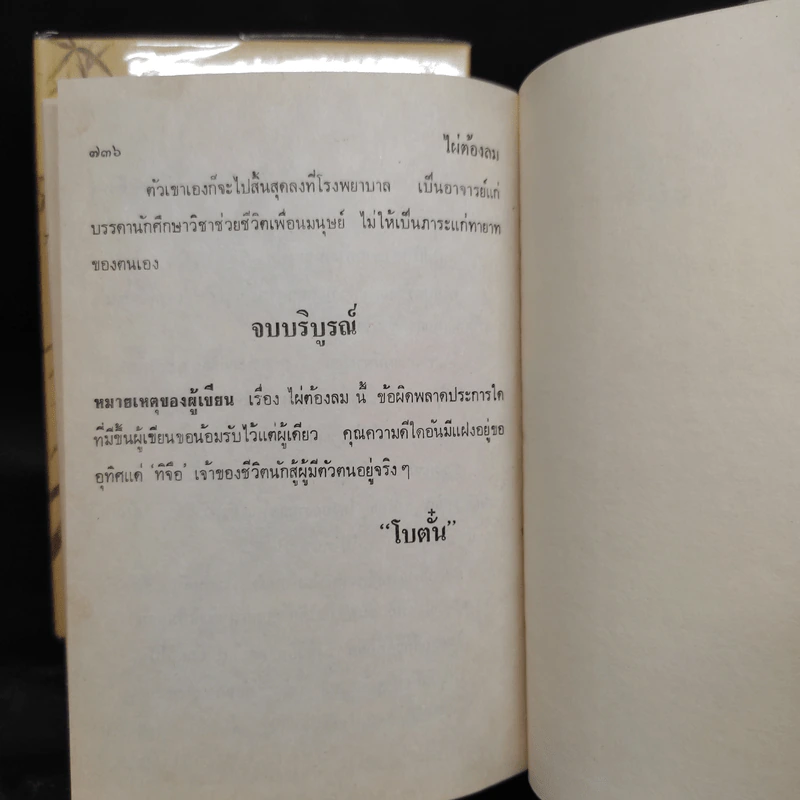 ไผ่ต้องลม 2 เล่มจบ - โบตั๋น รูปที่ 8