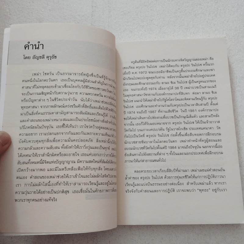 เมื่อทุกอย่างพังทลายหนทางฝึกใจในช่วงเวลา - เพม่า โชดรัน รูปที่ 7