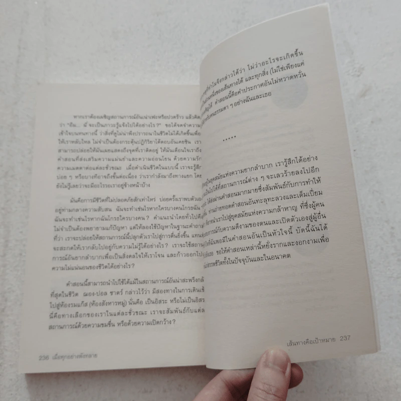 เมื่อทุกอย่างพังทลายหนทางฝึกใจในช่วงเวลา - เพม่า โชดรัน รูปที่ 10