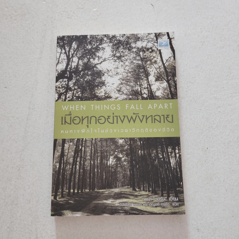 เมื่อทุกอย่างพังทลายหนทางฝึกใจในช่วงเวลา - เพม่า โชดรัน รูปที่ 1