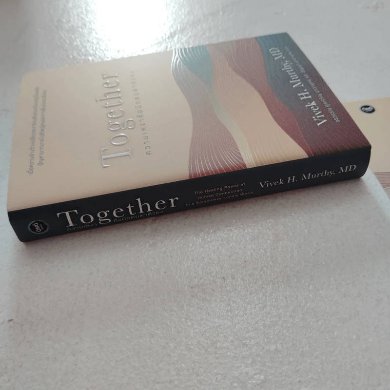 ความเหงาคือนักตบตาตัวยง : Together - Vivek Murthy,MD รูปที่ 2