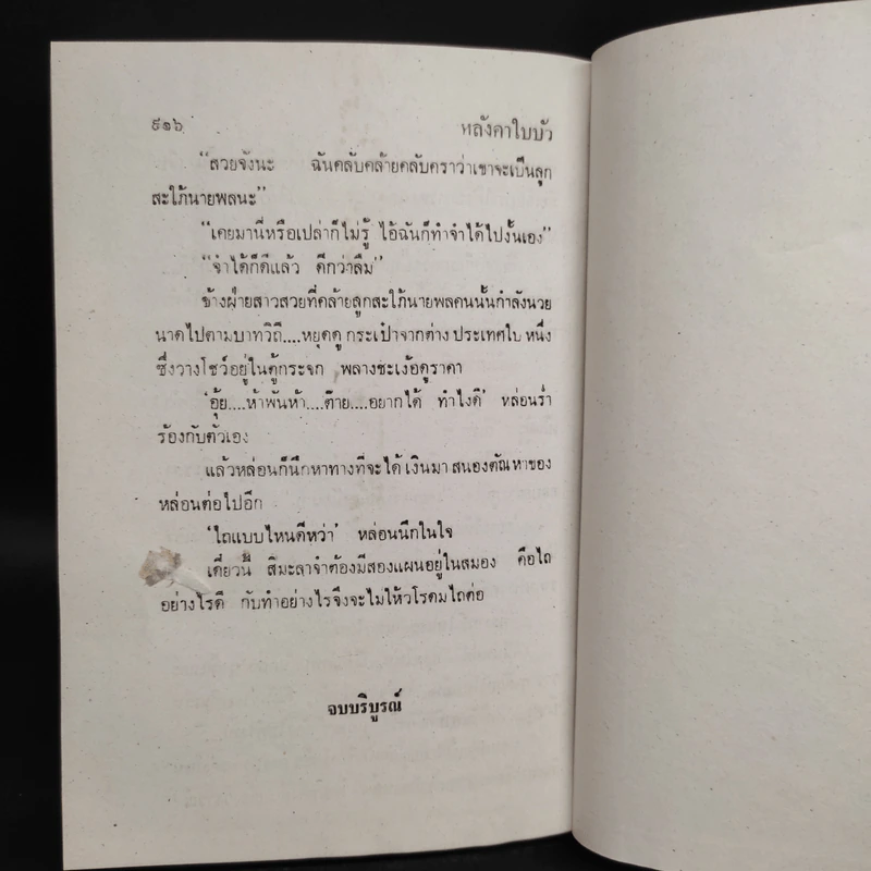 หลังคาใบบัว 2 เล่มจบ - กัญญ์ชลา รูปที่ 8
