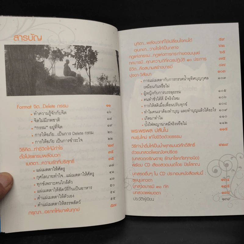 Format จิต Delete อารมณ์ - ปิยโสภณ รูปที่ 6