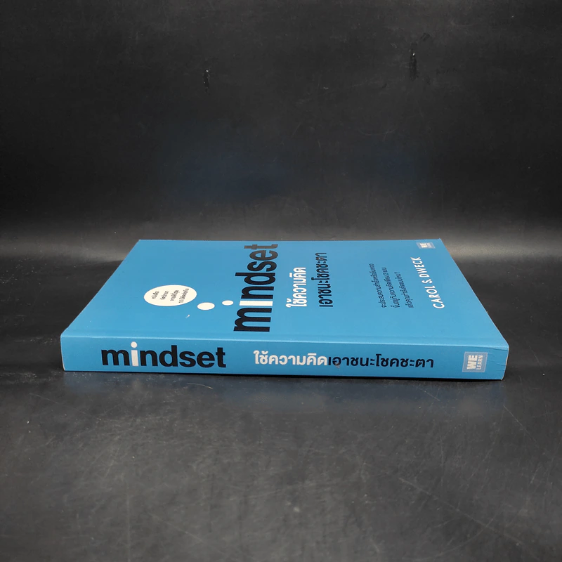 Mindset ใช้ความคิดเอาชนะโชคชะตา - Carol S.Dweck รูปที่ 3