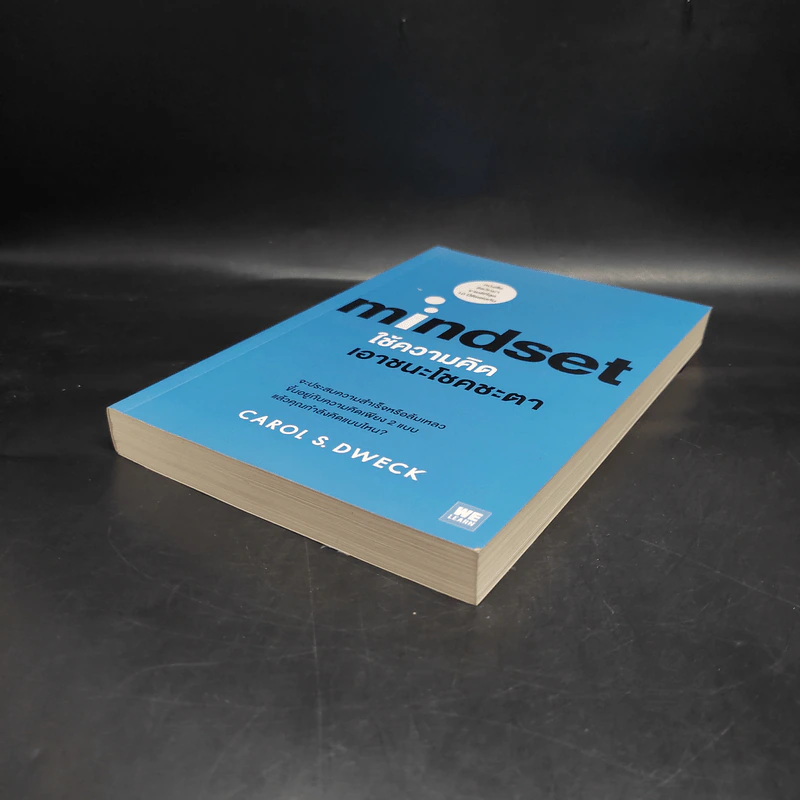 Mindset ใช้ความคิดเอาชนะโชคชะตา - Carol S.Dweck รูปที่ 4