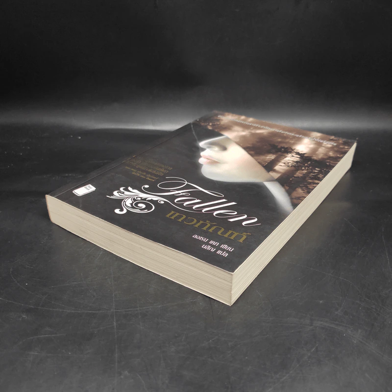 เทวทัณฑ์ Fallen - Lauren Kate รูปที่ 4