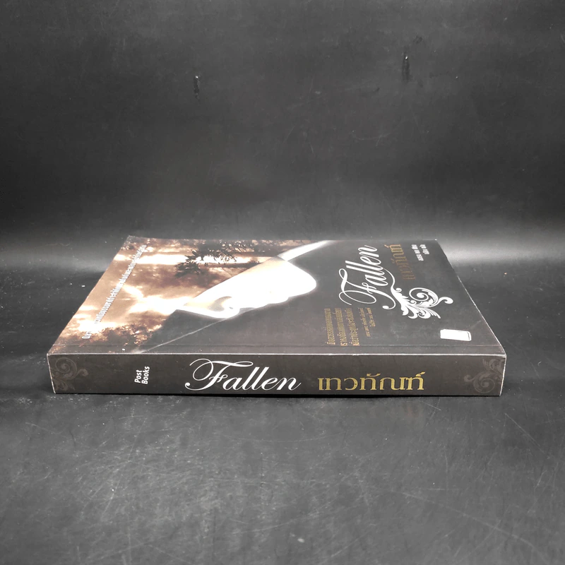 เทวทัณฑ์ Fallen - Lauren Kate รูปที่ 3