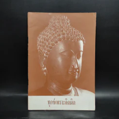 ทุกข์เพราะคิดผิด
