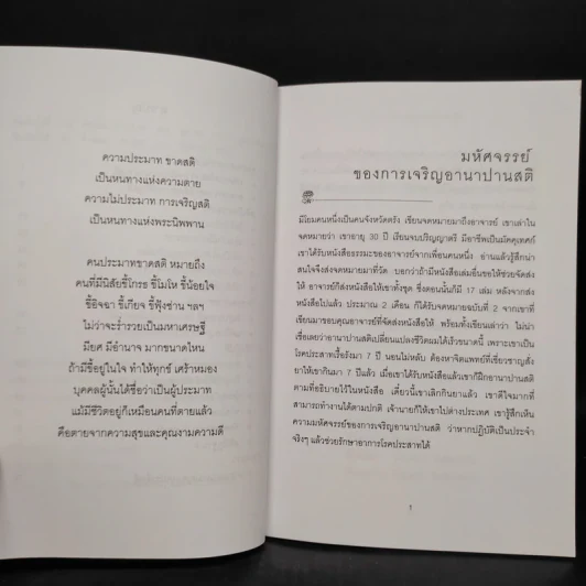 สติเป็นธรรมเอก - พระอาจารย์มิตซูโอะ รูปที่ 6