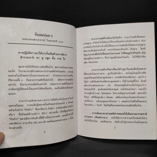 จับลมบ่อยๆ - พระอาจารย์มิตซูโอะ คเวสโก รูปที่ 7