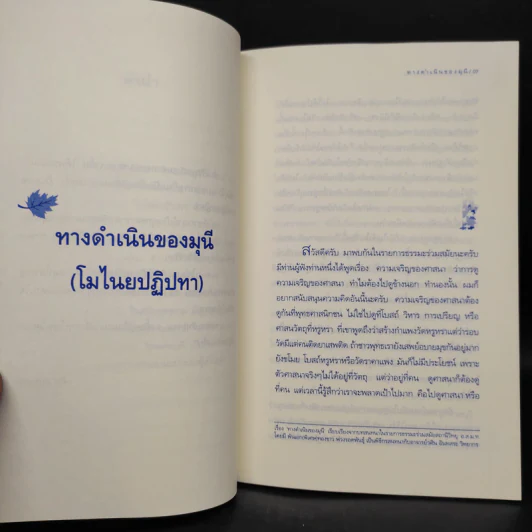 ทางดำเนินของมุนี - วศิน อินทสระ รูปที่ 6