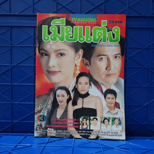เมียแต่ง เรื่องย่อละคร ทีวีแม็กกาซีน รูปที่ 1