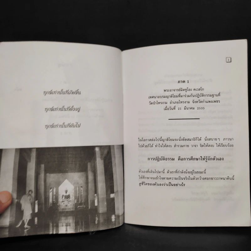 ทุกข์เพราะคิดผิด รูปที่ 7