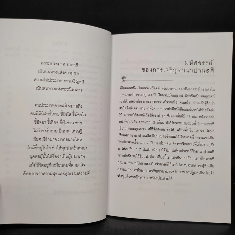 สติเป็นธรรมเอก - พระอาจารย์มิตซูโอะ รูปที่ 6