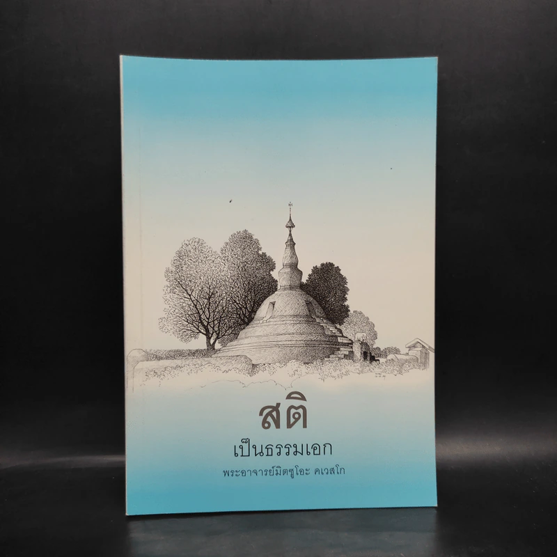 สติเป็นธรรมเอก - พระอาจารย์มิตซูโอะ รูปที่ 1